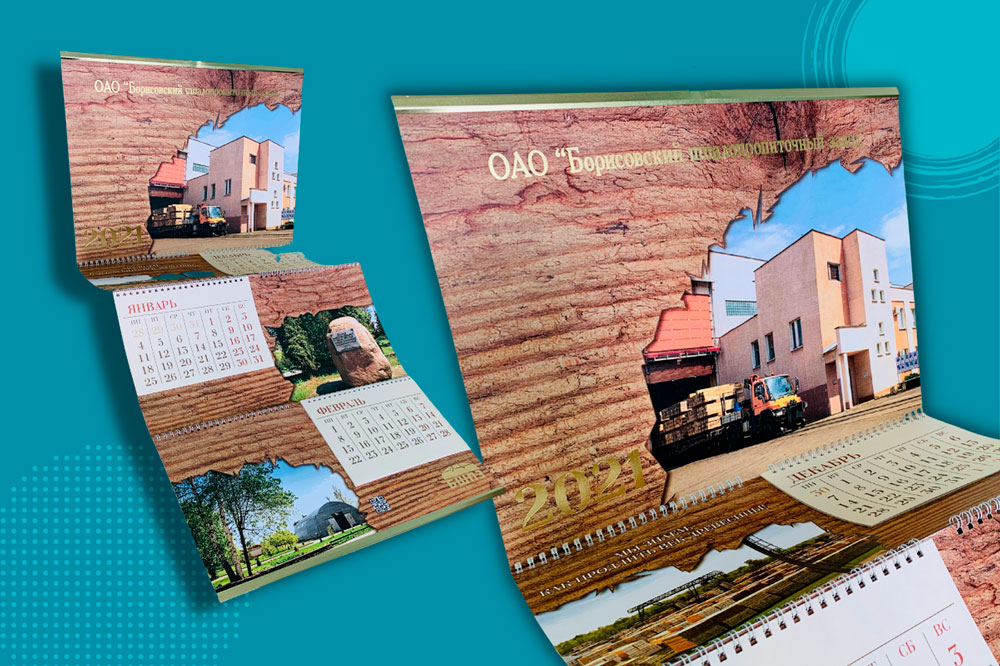 Календарь настенный БШПЗ 2021 от издательства Сегмент фото